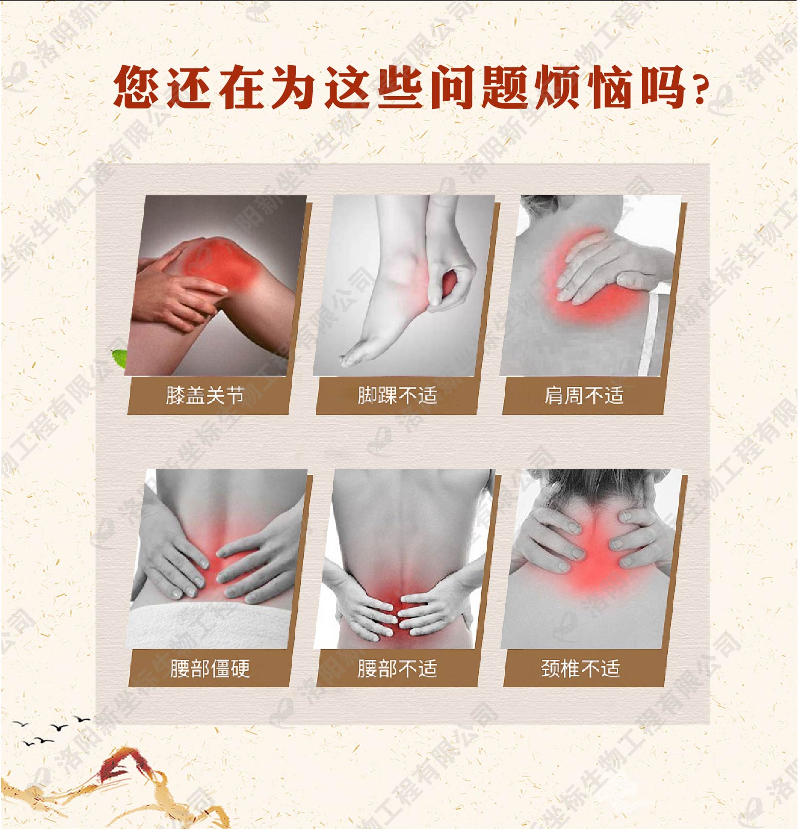 1579229300118008.jpg 1579229300118008.jpg